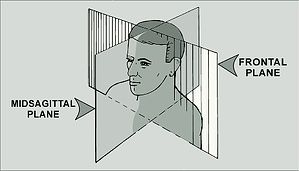 planes-of-occlusion