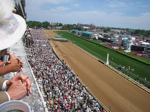 KYOAKS_CC_Chibbie